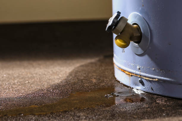 Best Water damage restoration near me  in Blackwells Mills, NJ