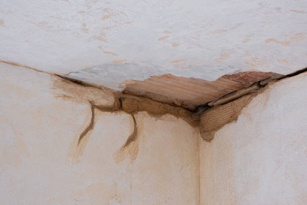 Local water damage restoration in Blackwells Mills, NJ