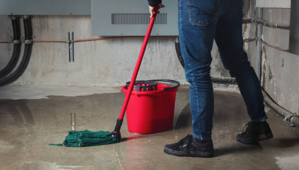 Best Fire Damage Restoration  in Blackwells Mills, NJ