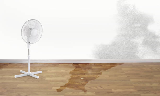 Best Sewage cleanup and water damage restoration  in Blackwells Mills, NJ