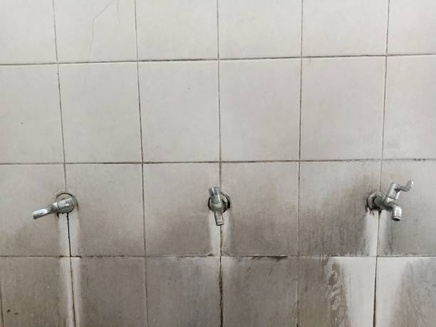 Best Mold removal after water damage  in Blackwells Mills, NJ