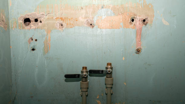 Best Water damage cleanup near me  in Blackwells Mills, NJ